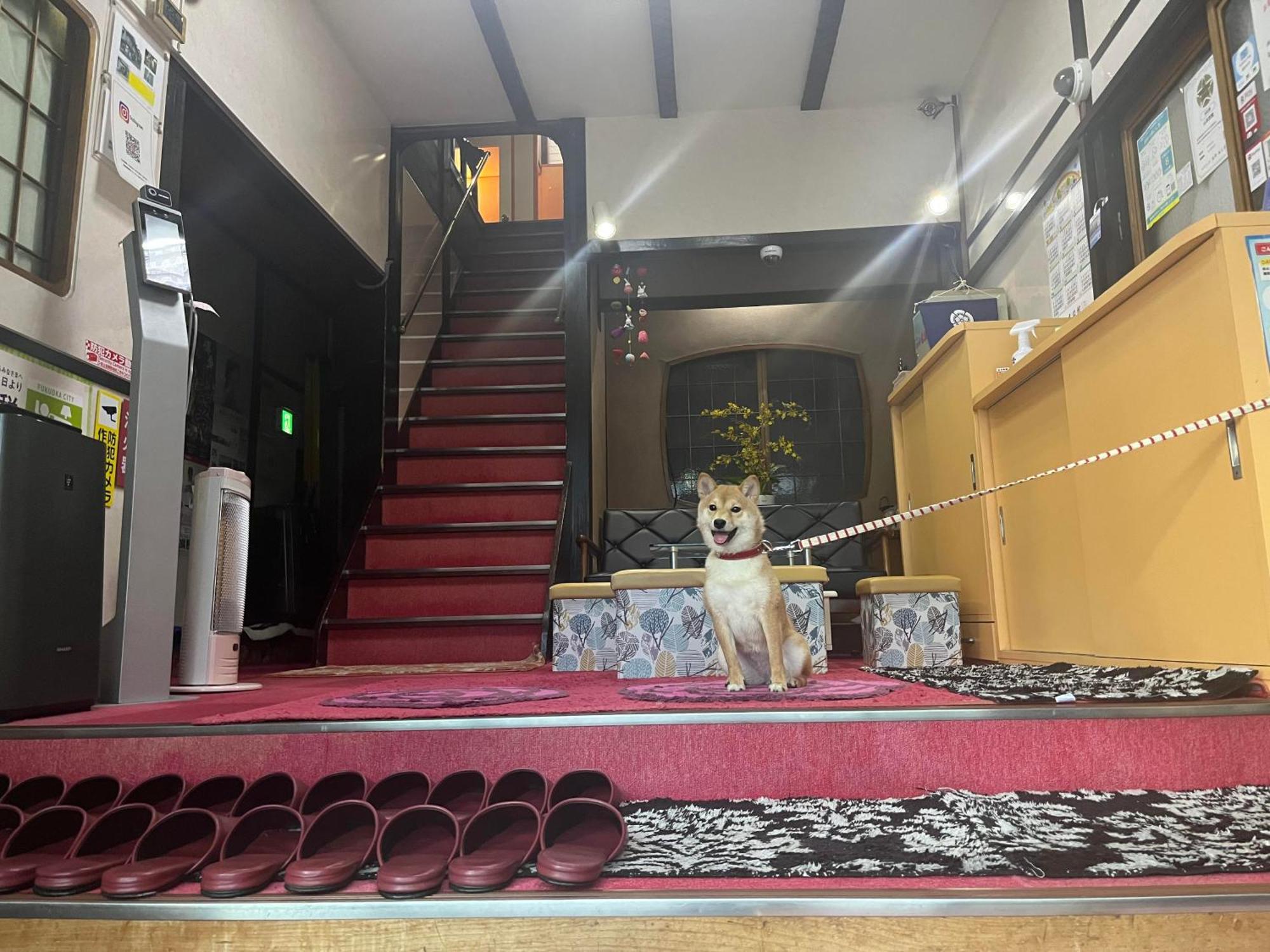 福岡 山本旅馆酒店 外观 照片